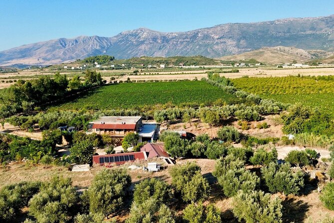 Traditional Albanian Food and Wine Tasting - Key points at a glance