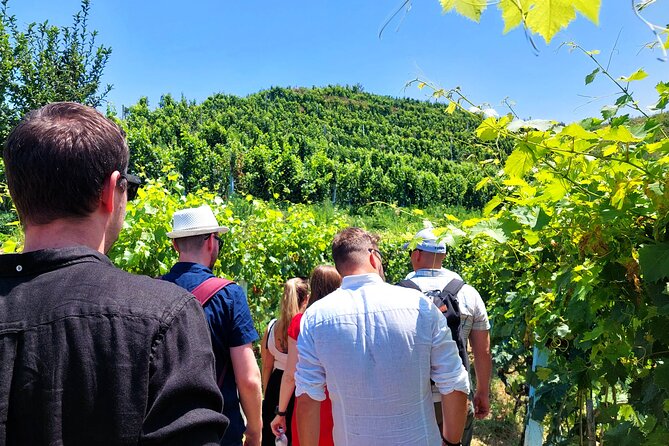 Vineyards, Albanian Wine Tasting & Boat Tour from Tirana/Durres - Key points to know before booking