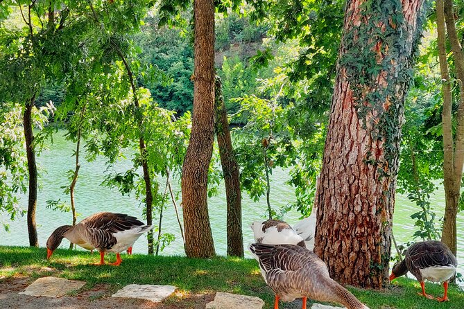 Vineyards, Albanian Wine Tasting & Boat Tour from Tirana/Durres - Tasting merlot, tempranillo, cabernet, and raki