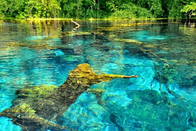 Visit The National Park of Blue Eye & Lekuresi castel - The essential details at a glance
