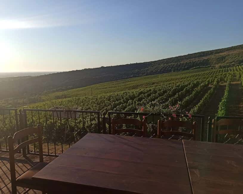 Vlora: Zvernec, Ardenica, Local Winery & Food Experience - What the $106 price gets you