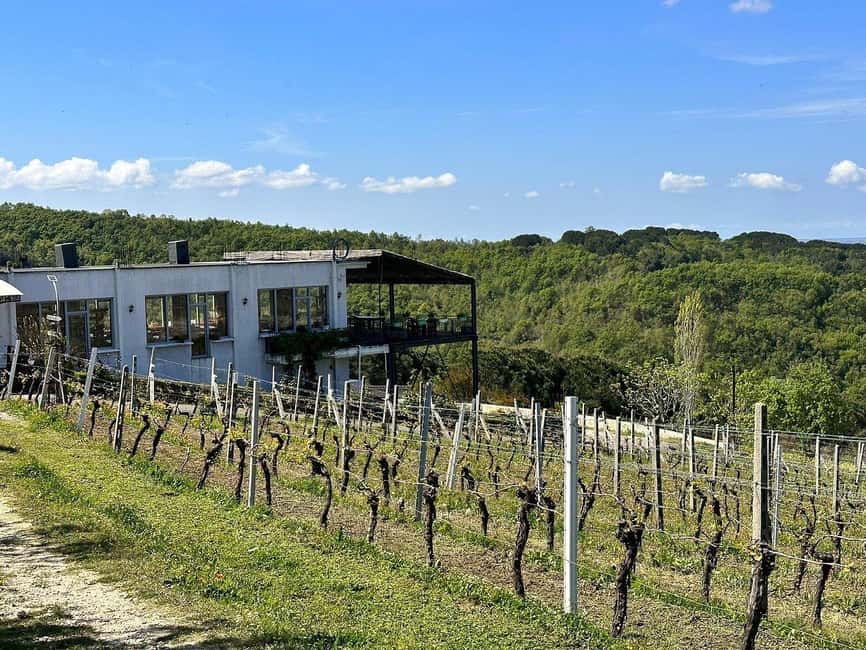 Vlora: Zvernec, Ardenica, Local Winery & Food Experience - The strongest parts of the experience