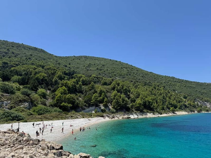 Vlore: Sazan Island, Haxhi Ali Cave & Karaburun by Speedboat - Leaving Vlorë Port on a Small Speedboat