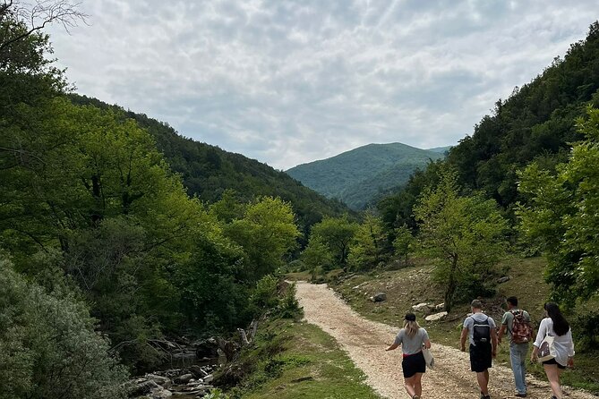 Waterfalls and wine flows - Bogova waterfall and Alpeta Winery Winetasting tour - Who should book this outing