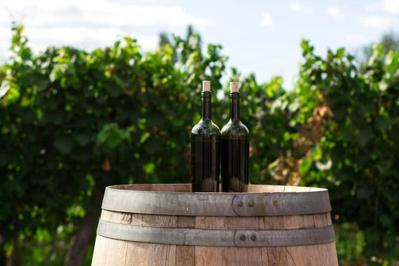 Wine Tasting & Vineyards Escape near Tirana - Who Will Enjoy This Winery Escape