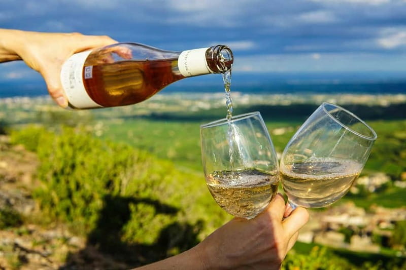 Wine Tasting & Vineyards Escape near Tirana - What the $100 Price Really Covers