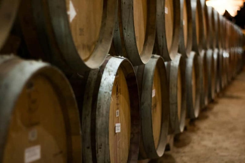 Wine Tasting & Vineyards Escape near Tirana - Guides, Service, and the Feel of the Day
