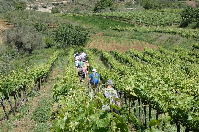 Winetasting tour in Alpeta winery - Roshnik village by 1001 Albanian Adventures - The family welcome and the human side of the visit