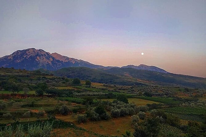 Winetasting tour in Alpeta winery - Roshnik village by 1001 Albanian Adventures - What to know before you reserve